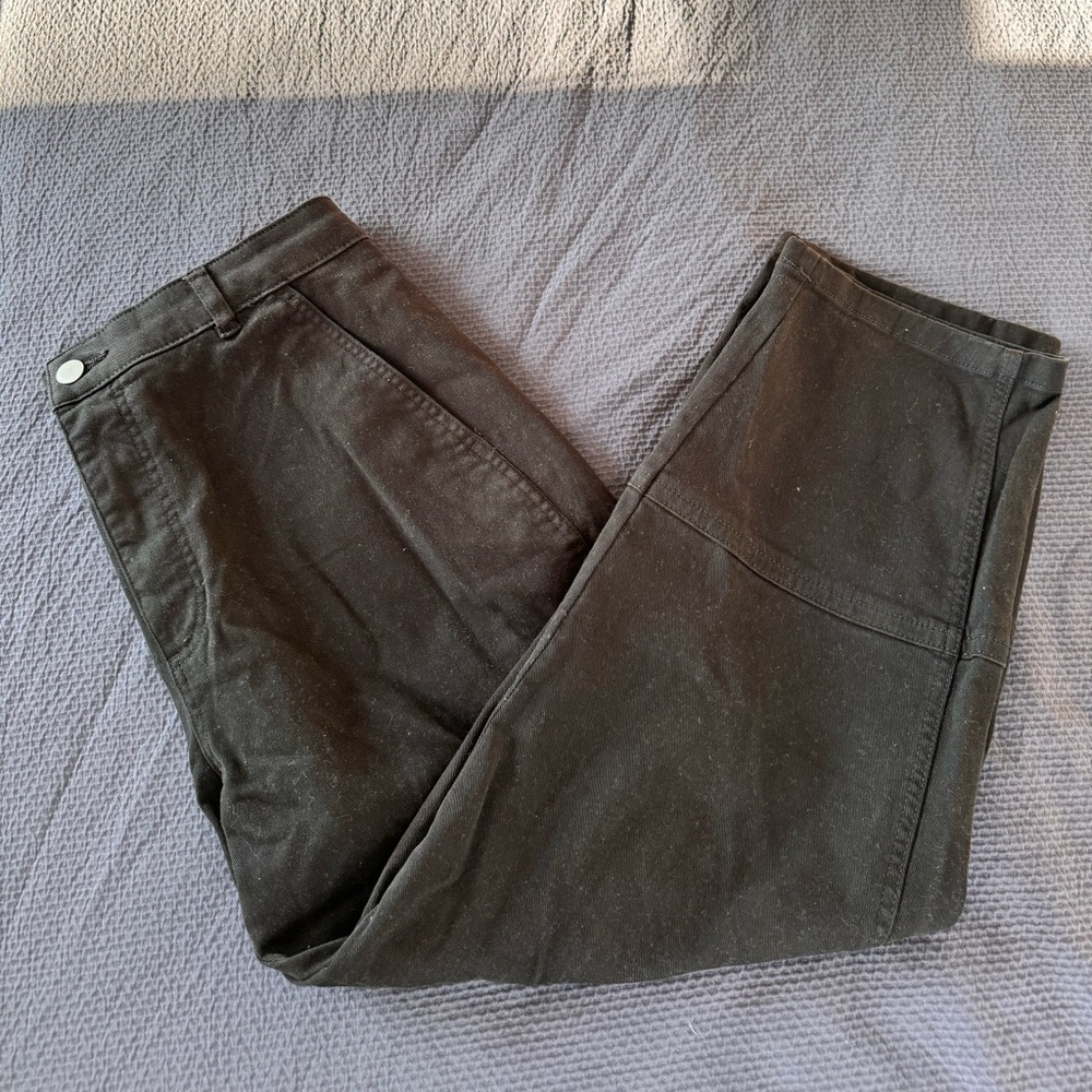 Everlane Utility Barrel Pant